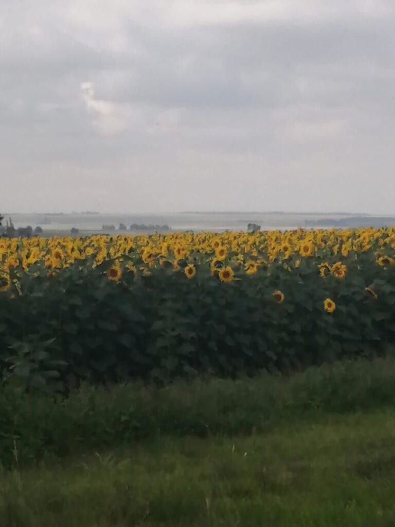 Koster Farming Community