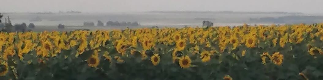 Koster Farming Community